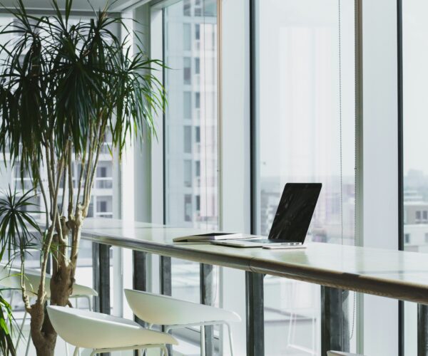 World Environment Day: Simple Steps to Make Your Office Space More Sustainable