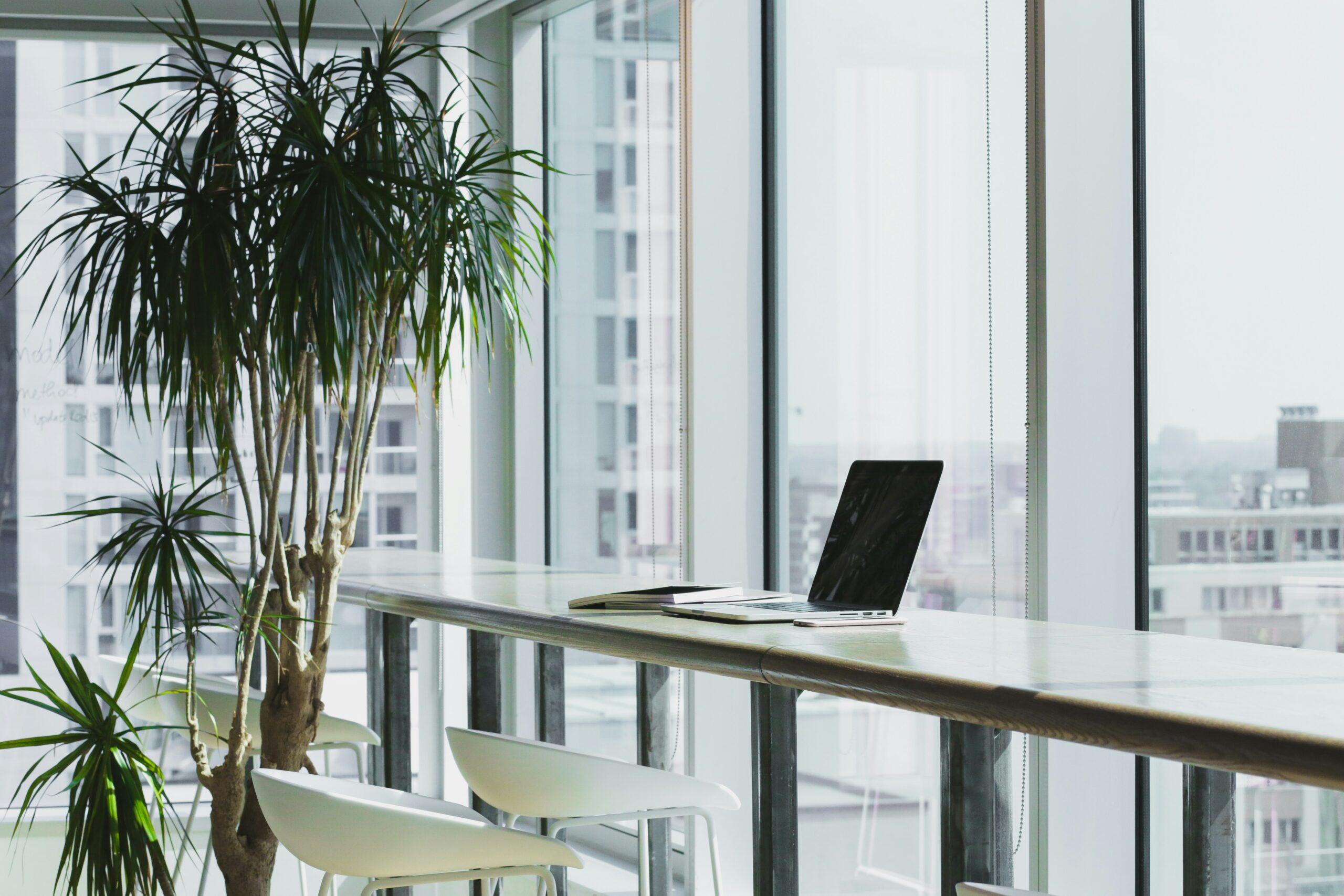 World Environment Day: Simple Steps to Make Your Office Space More Sustainable